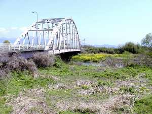 20100428tenjyo (03).jpg
